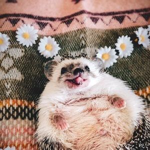 Meet your Posher, Jocelyn